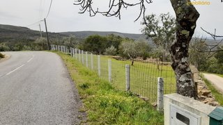 Land for sale in Sertã, Portugal — €54,000