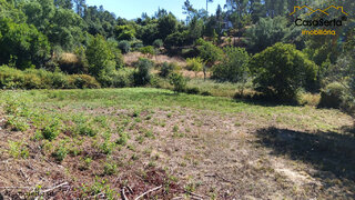 Land for sale in Sertã, Portugal — €6,000