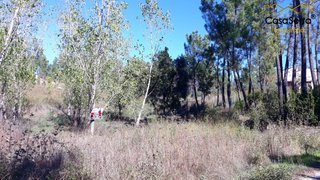 Land for sale in Sertã, Portugal — €20,000