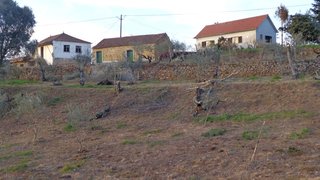 Land for sale in Pedrógão Grande, Portugal — €65,500