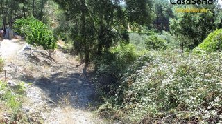 Land for sale in Sertã, Portugal — €22,000