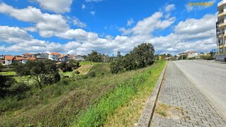 Land for sale in Proença-a-Nova, Portugal — €235,000