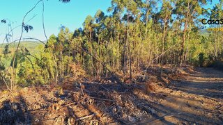 Land for sale in Sertã, Portugal — €9,000