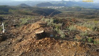 Terreno em Oleiros