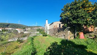 Land for sale in Proença-a-Nova, Portugal — €20,000