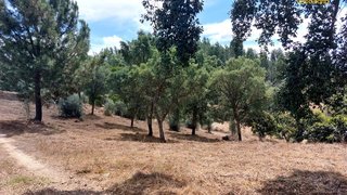 Land for sale in Sardoal, Portugal — €44,900