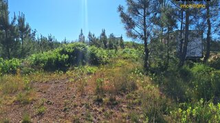Land for sale in Sertã, Portugal — €68,000