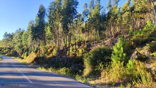 Land for sale in Sertã, Portugal — €11,900