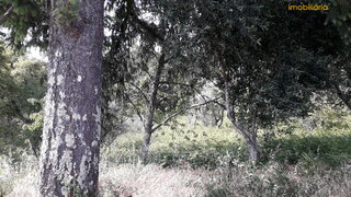 Land for sale in Sertã, Portugal — €24,500