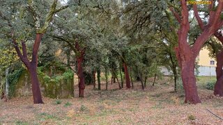 Land for sale in Figueiró dos Vinhos, Portugal — €85,000
