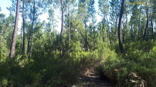 Land for sale in Sertã, Portugal — €9,000