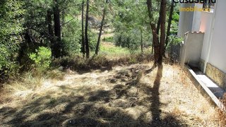 Land for sale in Sertã, Portugal — €19,000
