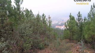 Land for sale in Sertã, Portugal — €9,750