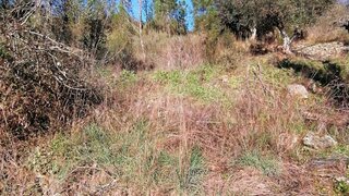 Terreno para venda em Sertã, Portugal — 12 000 €