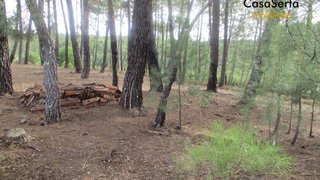 Land for sale in Sertã, Portugal — €24,500