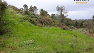 Land for sale in Sertã, Portugal — €35,000