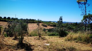 Land for sale in Sertã, Portugal — €6,000