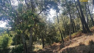 Land for sale in Sertã, Portugal — €120,000