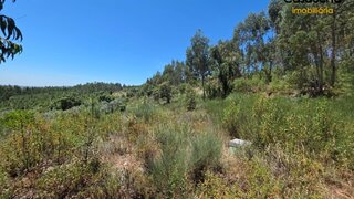 Land for sale in Proença-a-Nova, Portugal — €20,000
