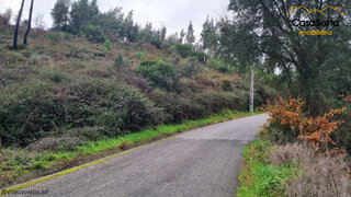Land for sale in Sertã, Portugal — €8,500