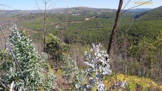 Land for sale in Oleiros, Portugal — €45,000