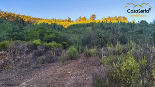 Land for sale in Sertã, Portugal — €8,500