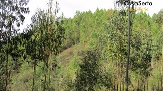 Land for sale in Sertã, Portugal — €26,300