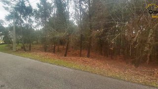 Land for sale in Sertã, Portugal — €22,500