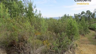 Land for sale in Sertã, Portugal — €14,950