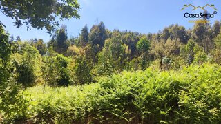 Land for sale in Sertã, Portugal — €3,700