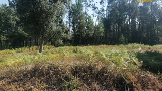 Land for sale in Sertã, Portugal — €32,000