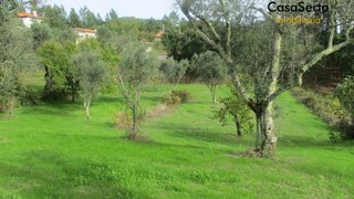 Land for sale in Sertã, Portugal — €19,500