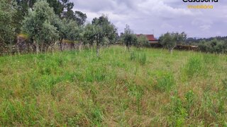 Land for sale in Sertã, Portugal — €44,000