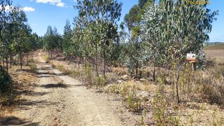 Land for sale in Proença-a-Nova, Portugal — €16,500