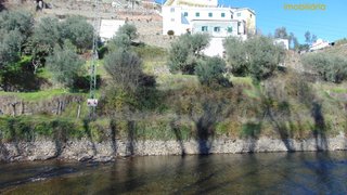 Land for sale in Sertã, Portugal — €12,500