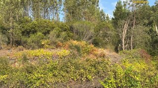 Terreno para venda em Sertã, Portugal — 2000 €
