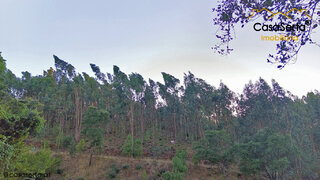Land for sale in Sertã, Portugal — €7,500