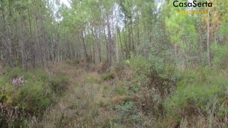 Land for sale in Sertã, Portugal — €12,500