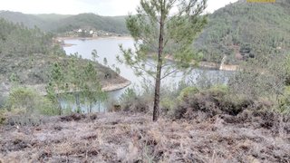 Land for sale in Sertã, Portugal — €25,000