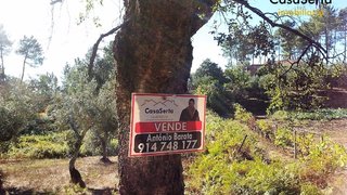 Land for sale in Sertã, Portugal — €45,000