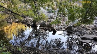 Land for sale in Castelo Branco, Portugal — €36,900