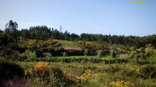 Land for sale in Sertã, Portugal — €25,000
