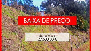 Terreno · 3839 m² · 29 500 €