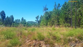 Land for sale in Sertã, Portugal — €29,500