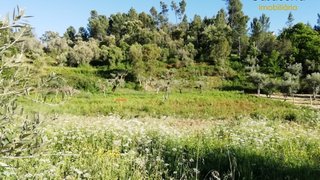 Land for sale in Sertã, Portugal — €4,500