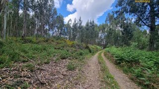 Land for sale in Sertã, Portugal — €39,000