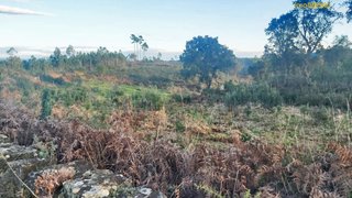 Land for sale in Vila de Rei, Portugal — €10,000