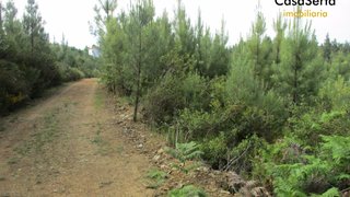 Land for sale in Sertã, Portugal — €29,300