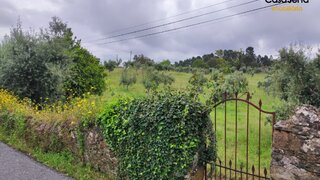 Land for sale in Sertã, Portugal — €44,000