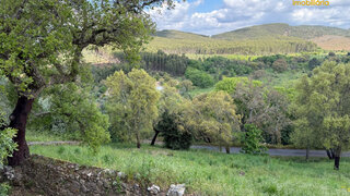 Land for sale in Vila de Rei, Portugal — €45,000